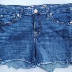 Denim Blue Women's Shorts Size 4